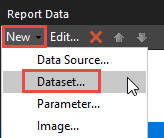 New > Dataset in the Report Data navigation panel.
